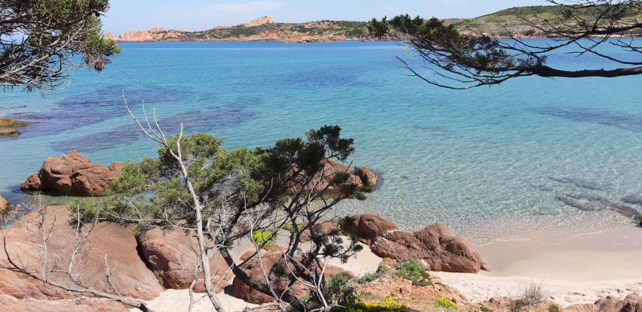 Mare Natura Confort... Il Mio Paradiso In Sardegna Isola Rossa Ngoại thất bức ảnh