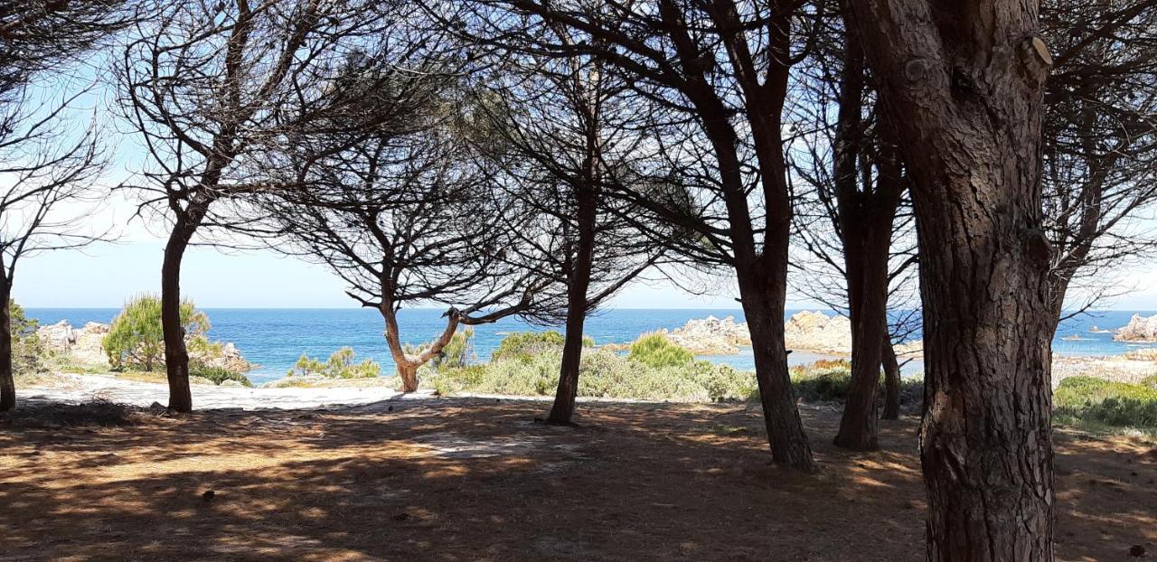 Mare Natura Confort... Il Mio Paradiso In Sardegna Isola Rossa Ngoại thất bức ảnh